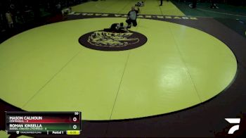 50 lbs Quarterfinals (8 Team) - Roman Kinsella, Dassel-Cokato-Litchfield vs Mason Calhoun, Centennial