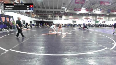 138 lbs Cons. Round 2 - Zoe Fries, Missouri Baptist University vs Ava Ward, Missouri Valley College