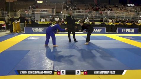 Annisa Isabella Fields vs A'niyah Reyn Keohaname-Apodaca 2025 Pan Jiu Jitsu IBJJF Championship