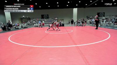 157 lbs Champ. Rd Of 16 - Drezdyn Ballard vs Colton Wilson, Ozark High School