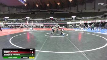 157 lbs Champ Round 1 (16 Team) - Dominick Tunison, Nazareth vs Brendyn Ramos, Denbigh