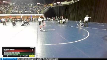 45 lbs Quarterfinal - Gavin Ward, Iowa vs Colson Andersen, Big Game Wrestling Club