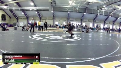 197 lbs Cons. Round 3 - Dradon Johnson, West Liberty vs Iran Love, Salem University