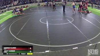 175 lbs Semifinal - Jhett Harber, Lowry vs Andres Flores, Elko