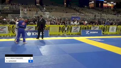 AMY CADWELL-MONTENEGRO vs KAITLIN WONDER 2023 Pan Jiu Jitsu IBJJF Championship