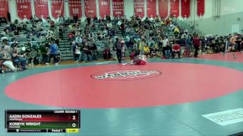 126 lbs Champ. Round 1 - Aadin Gonzales, Montrose vs Korbyn Wright, Palisade