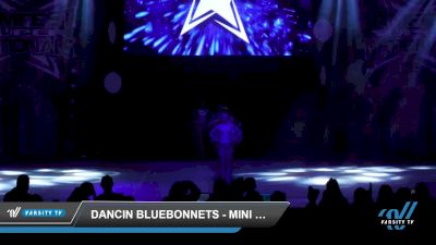 Dancin Bluebonnets - Mini Large Jazz [2022 Mini - Jazz - Large Day 3] 2022 JAMfest Dance Super Nationals