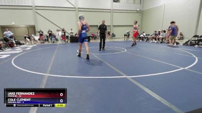 215 lbs Semis & 1st Wrestleback (8 Team) - Jake Fernandez, Missouri vs Cole Clement, Virginia Red