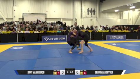 Gregg Alan Snyder vs Dany Man Hei Mou 2025 World IBJJF Jiu-Jitsu No-Gi Championship
