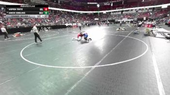 D1-126 lbs Champ. Round 1 - Aspen Tritz, Wisconsin Rapids Lincoln vs Amos Ebeling, Wisconsin Lutheran