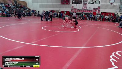 133 lbs Cons. Semi - Carter Pesta, Sauk Rapids-Rice vs Landon Marthaler, Marshall