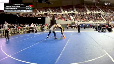 132-D1 Semifinal - Aaron Callirgos, Desert Ridge High School vs Trevor Hamm, Corona Del Sol High School