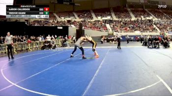 132-D1 Semifinal - Aaron Callirgos, Desert Ridge High School vs Trevor Hamm, Corona Del Sol High School
