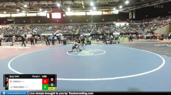 113 lbs Quarterfinal - Jeremiah Gonzalez, Meridian vs Andre Valero, Minico