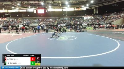 113 lbs Quarterfinal - Jeremiah Gonzalez, Meridian vs Andre Valero, Minico