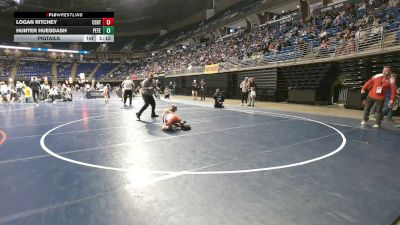 65 lbs Pigtails - Logan Ritchey, Central York vs Hunter Huesdash, Peters Township