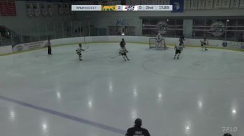 Replay: Home - 2024 CHI Cougars vs MJDP | Oct 14 @ 1 PM