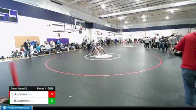 138 lbs Cons. Round 3 - Ryder Suemori, Ellensburg vs Calvin Andrews, Columbia (White Salmon)