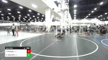 87 lbs Consolation - Tyrann Gallegos, Southwest Hammers vs Adrian Resendiz, Aniciete TC
