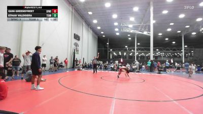 115 lbs Rr Rnd 4 - Quin Greenstreet, Sly Fox Gray WC - HSC vs Ethan Valdisera, Team Diamond Fish - HSC