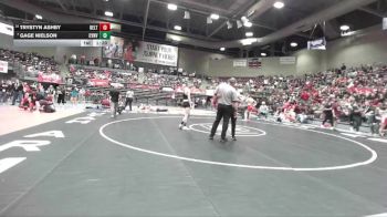3A 132 lbs Quarterfinal - Gage Nielson, Canyon View vs Trystyn Ashby, Delta
