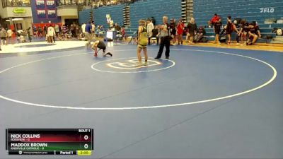 132 lbs Semis (4 Team) - Maddox Brown, Knoxville Catholic vs Nick Collins, Rossview