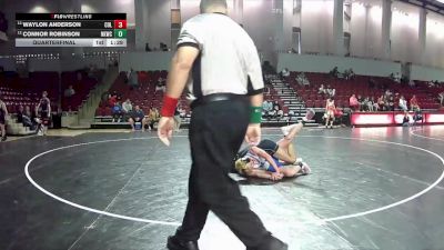 113 lbs Quarterfinal - Connor Robinson, New Kent Wrestling Club vs Waylon Anderson, Virginia Team Predators