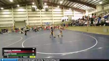 165 lbs Cons. Round 2 - Rowan Olson, Layton vs Rohaan Anderson, Cedar Valley