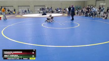 84 lbs Semis (4 Team) - Donavon Anderson, Springfield vs Brett Maruska, Fosston-Bagley Brawlers
