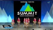 DanceWorks - Youth Pom [2025 Youth - Pom - Small Semis] 2025 The Dance Summit