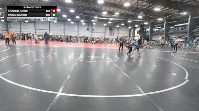 96 lbs Round 4 - 2:15pm Saturday - Ethan Harris, West Coast Elite vs Charlie Jones, Team Michigan