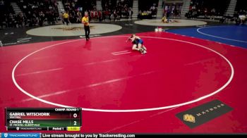 113 lbs Champ. Round 1 - Gabriel Witschorik, Waconia vs Chase Mills, St. Michael-Albertville