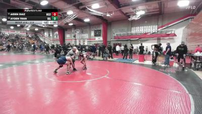 113 lbs Cons. Round 3 - Aiden Diaz, West Torrance vs Ayden Tran, Walnut