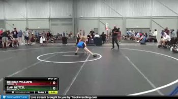 106 lbs Semis & 3rd Wb (16 Team) - Derrick Williams, Florida vs Liam Neitzel, Wisconsin