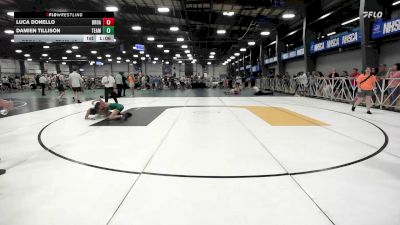 100 lbs Rr Rnd 1 - Luca Donello, Broad Axe Green vs Damien Tillison, Team RJN