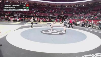 113 lbs 3rd Place Match - Braedyn Tammarine, Liberty Center vs Chance Wuhr, Lake Cath.