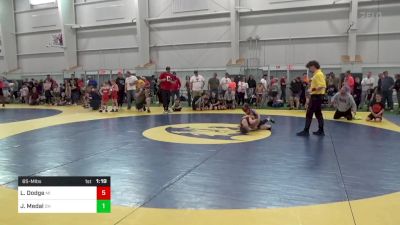 65-M lbs Semifinal - Logan Dodge, MI vs Jojo Medal, OH