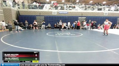 195 lbs Semifinal - Blake Nguyen, Fighting Squirrels vs Talon Heinley, Small Town Wrestling