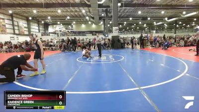 115 lbs Round 1 - Camden Bishop, Dinwiddie Mat Rats vs Kaidence Green, Chesapeake