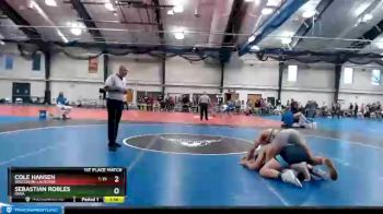 157 lbs 1st Place Match - Cole Hansen, Wisconsin-LaCrosse vs Sebastian Robles, Iowa