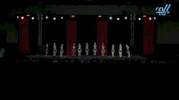 Wicked Elite - Vengeance [2025 L3 Senior - D2 - Small Day 1] 2025 ASC King of the Jungle Schaumburg Showdown