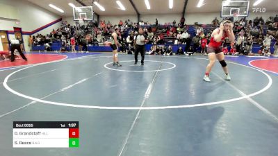 155 lbs Quarterfinal - Desie Grandstaff, Hilldale vs Sonora Reece, Broken Arrow Girls