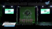 No Limits Dance - Took The Night [2023 Mini - Prep - Jazz Day 2] 2023 ASC Schaumburg Showdown & CSG Schaumburg Dance Grand Nationals