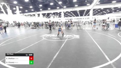 66 lbs 3rd Place - Sawyer Shelton, Evanston Elite Wrestling vs Davina Chavez, Gold Rush Wr Ac