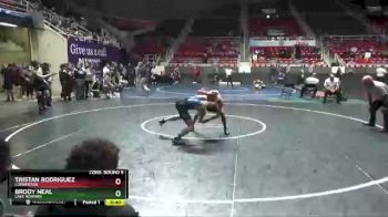 145 lbs Cons. Round 5 - Tristan Rodriguez, Lumberton vs Brody Neal, Lake Norman