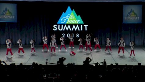 EPA Allstars - The Movement [2018 Large Mini Hip Hop Finals] The Dance Summit