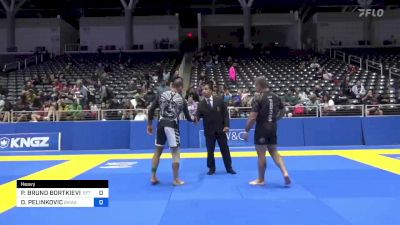 PAULO BRUNO BORTKIEVICZ vs DRGUT PELINKOVIC 2022 Pan IBJJF Jiu-Jitsu No-Gi Championship