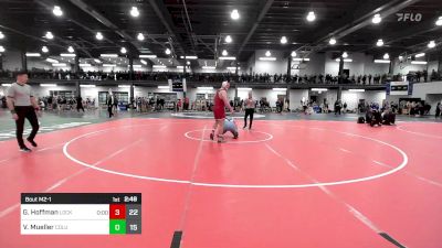 285 lbs Rr Rnd 1 - Gavin Hoffman, Lock Haven vs Vincent Mueller, Columbia