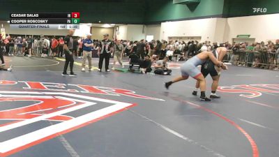 215 lbs Quarterfinal - Ceasar Salas, IN vs Cooper Roscosky, PA