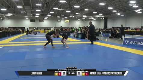 Maria Luiza Fragoso Pinto Loreir vs Julia Maele 2026 Pan IBJJF Jiu-Jitsu No-Gi Championship